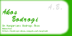akos bodrogi business card
